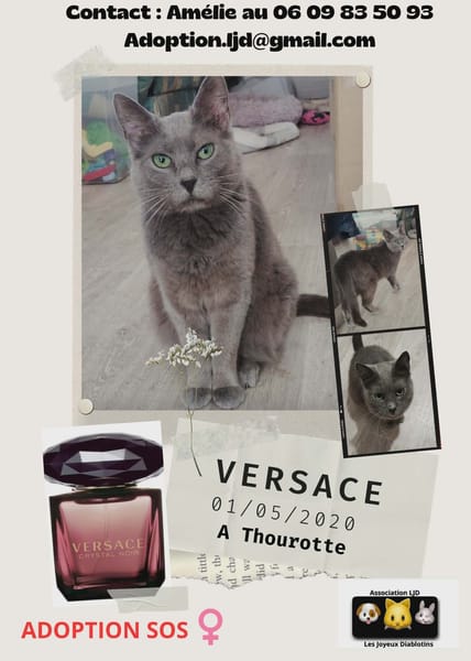 versace