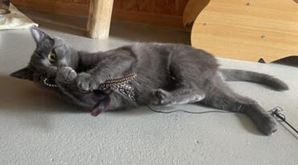 Luna