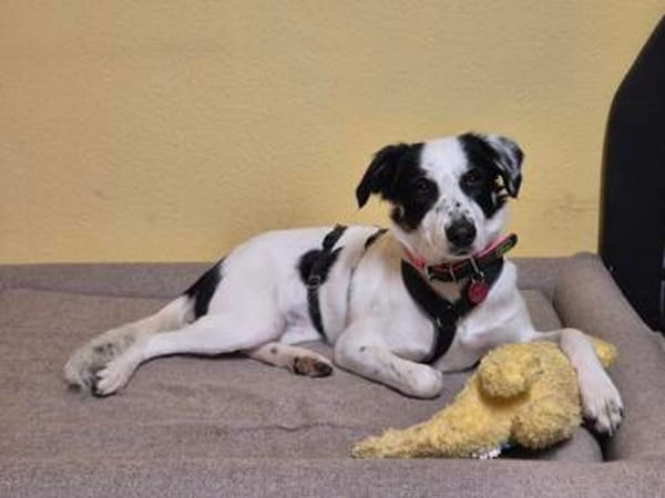 Skyla sucht ihre Herzensmenschen