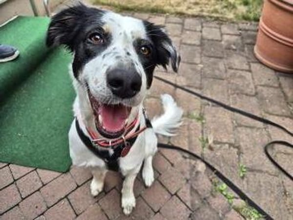 Skyla sucht ihre Herzensmenschen
