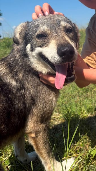 LUNA