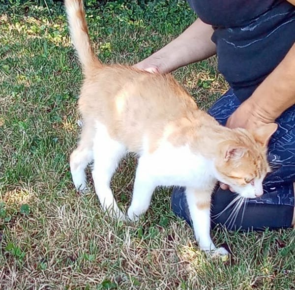 CARAMEL