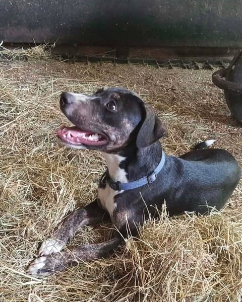 Darwin,bébé câlin