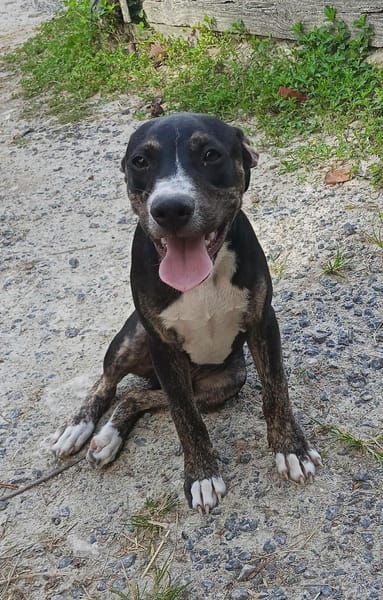 Darwin,bébé câlin