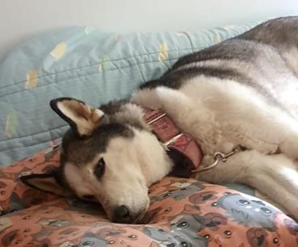 ARYA-WARTET AUF IHR HAPPY END