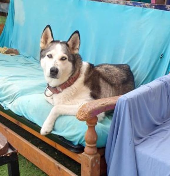 ARYA-WARTET AUF IHR HAPPY END