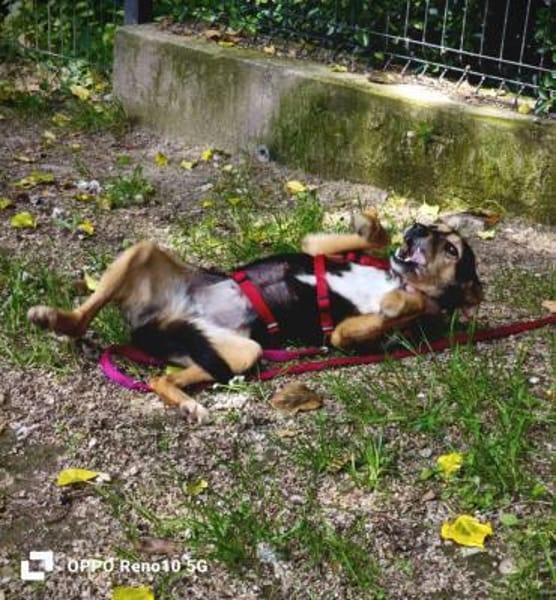 Die kleine MOANA ❤ wünscht sich Liebe