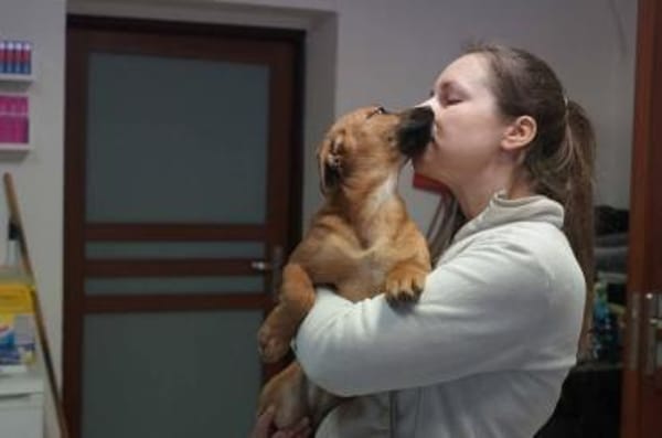 Mona ❤ Schutzgebühr 500 Euro