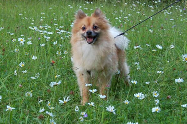 MÄXCHEN bringt Charme und gute Laune mit