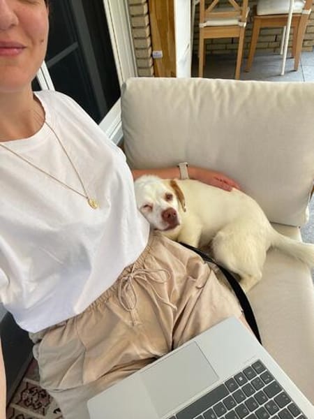 Duke sucht sein Für-immer-Zuhause