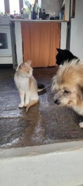 Peta und Luda, einfach bezaubernd