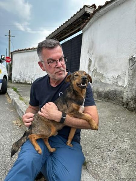 Bobby - fast 2 jähriger sucht dich