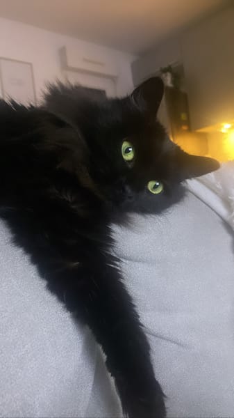Ayka