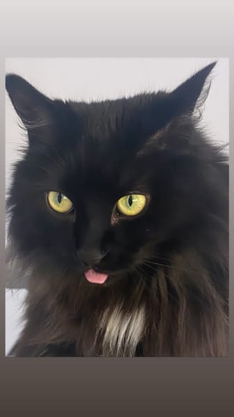 Ayka