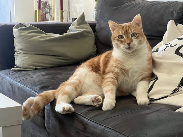 Caramel