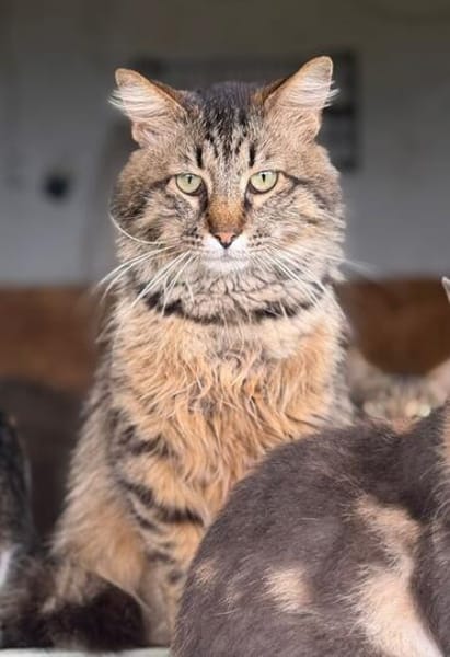Meilo