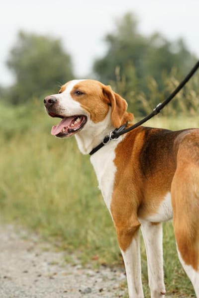 Ragnar will ein Neuanfang!