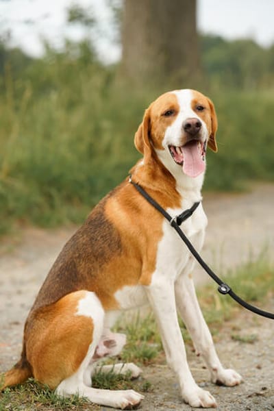 Ragnar will ein Neuanfang!