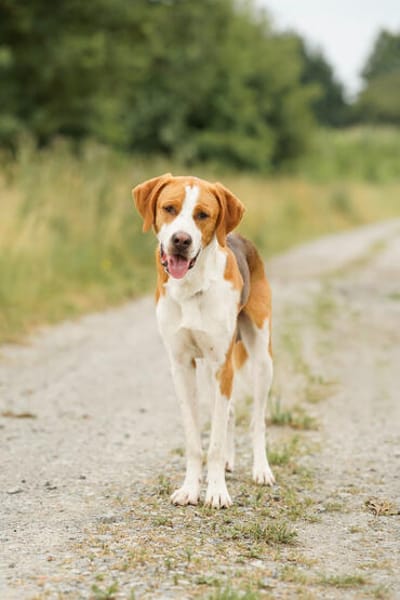 Ragnar will ein Neuanfang!
