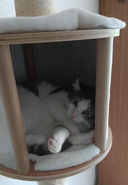 Odin m~2J such liebevolles zuhause