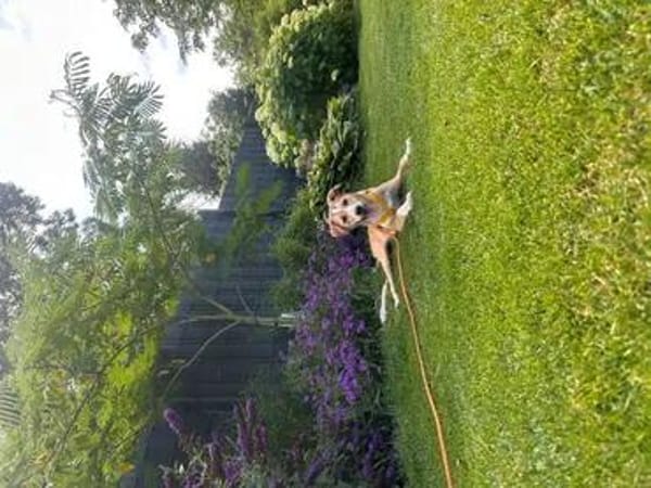 GIULI * verschossen in ihre Sommersprossen