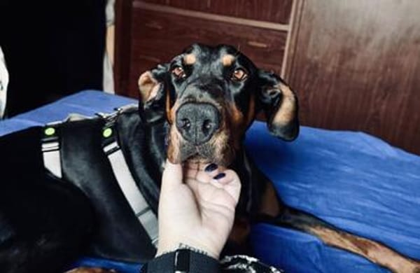 Cloe ein wunderschönes Mädchen