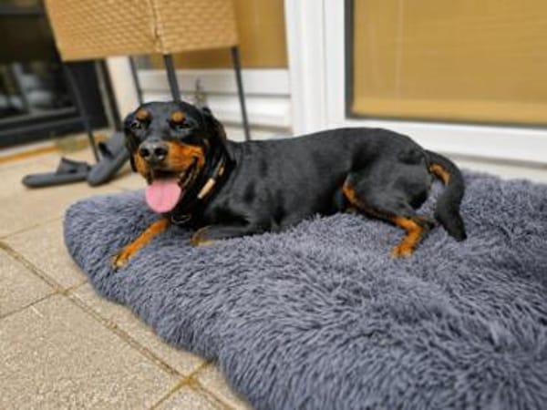 Beaufort möchte dein Herz stehlen