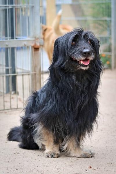 Walter