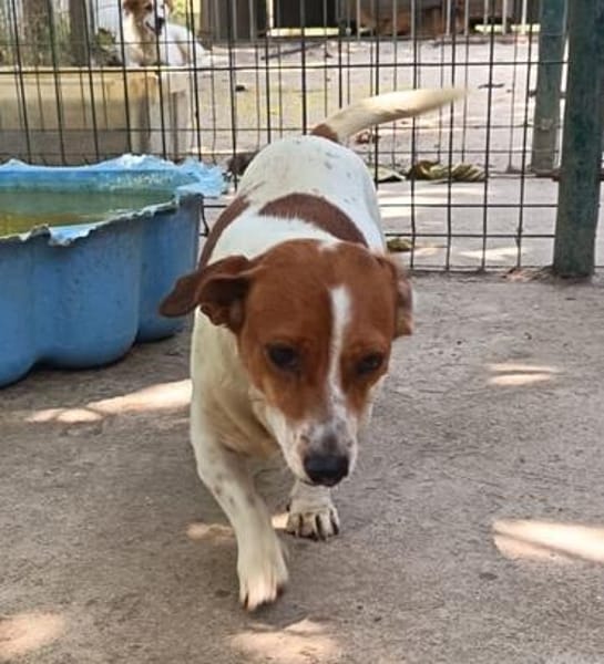 Ebby  wartet auf ihre zweite Chance