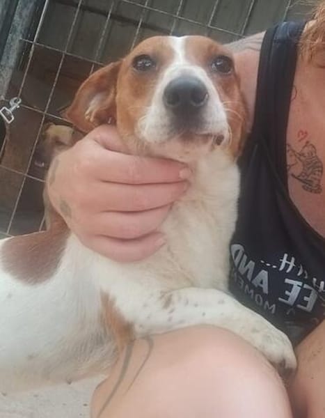 Ebby  wartet auf ihre zweite Chance