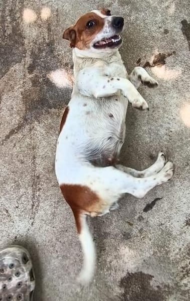 Ebby  wartet auf ihre zweite Chance