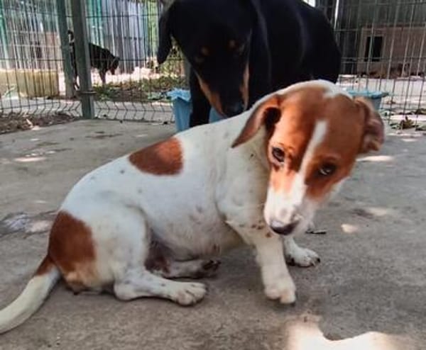 Ebby  wartet auf ihre zweite Chance