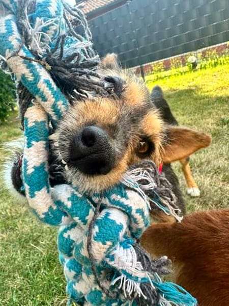 Zarte MOANA ❤ wünscht sich ein Für-immer-Zuhause