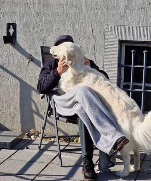 💔 Kayla sucht unverschuldet ein neues Zuhause 💔