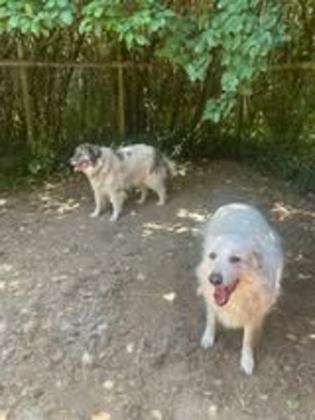 KIKI et BOUBA
