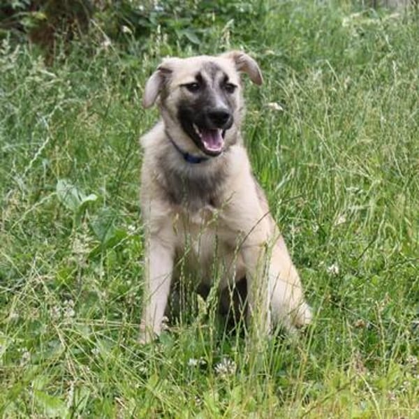 Bea - Familienanschluss gesucht