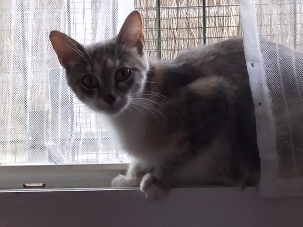 Mélodie