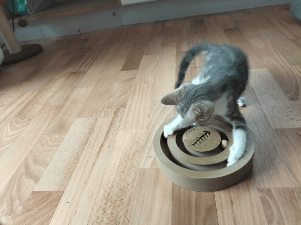 Berlioz