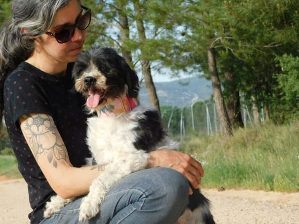 BOB, petit chien affectueux