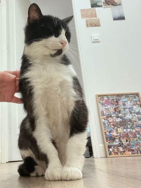 Mia