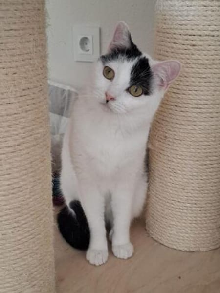 Indira, unsere scheue Schönheit