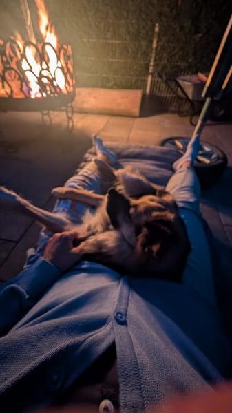 Pauli ein kleiner Flummi mit Kuschelfaktor