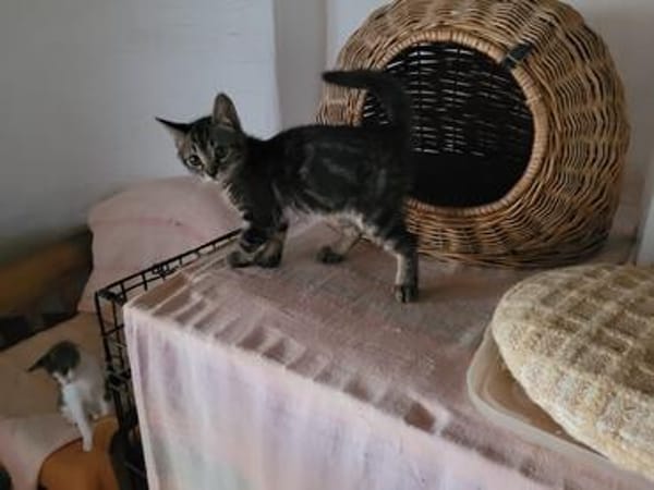 Traumpaar Leffy und Hera