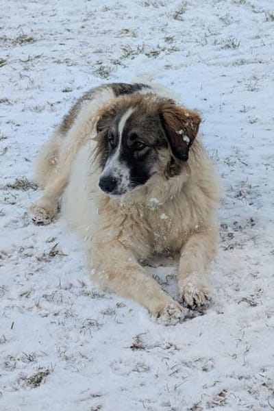 Ozora sucht schon so lange