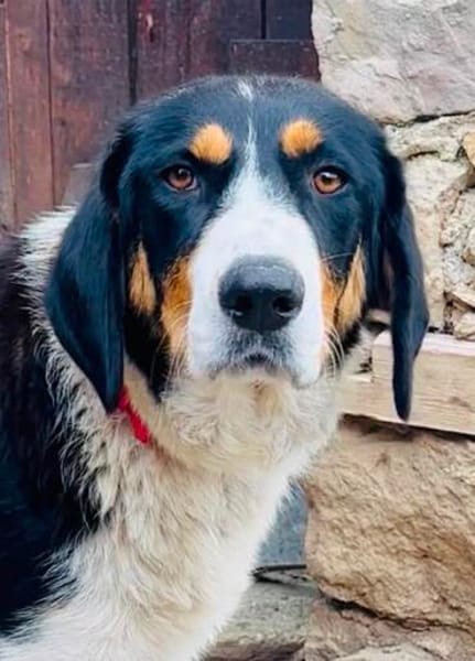 Tapfere Mama Nana