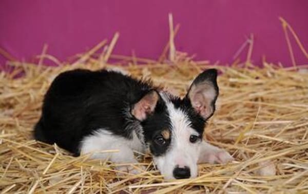 Starten Sie mit Lourdes ins Leben???