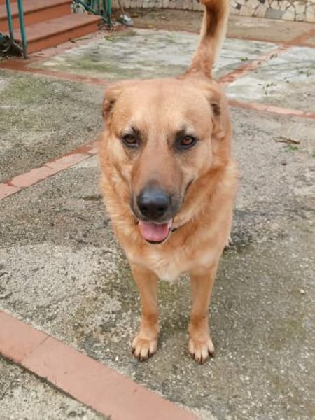 Elix