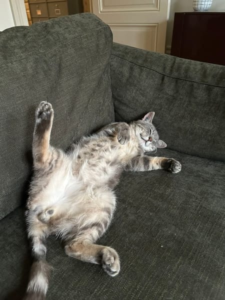 Ollie