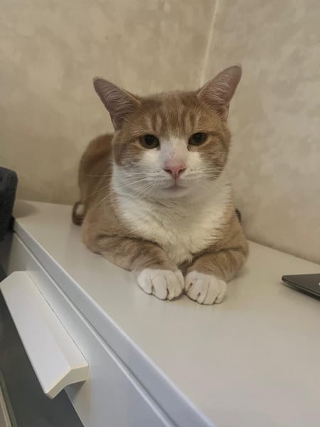 Nicolas