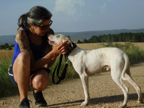 PUCK, petit chien de 9 kg
